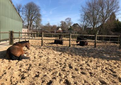 Pensionstal De Onneresch Binnen Buiten Bak Bo18 Weidegrond Fotos