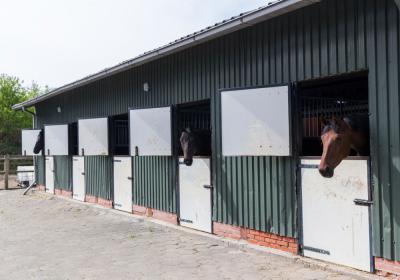 Pensionstal De Onneresch Binnen Buiten Bak Bo2 Weidegrond Fotos