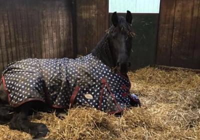 Pensionstal De Onneresch Binnen Buiten Bak Bo5 Weidegrond Fotos